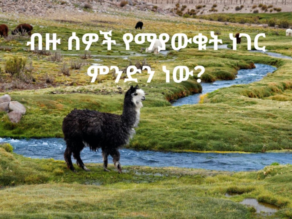 ብዙ ሰዎች የማያውቁት ነገር ምንድን ነው